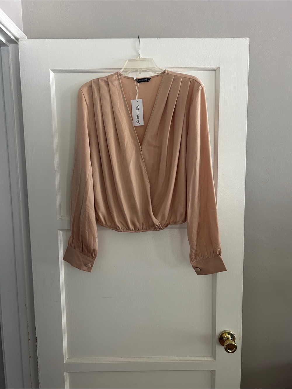 Sanctuary Blouson V-Neck Long Sleeve Blouse in Blush/Nude